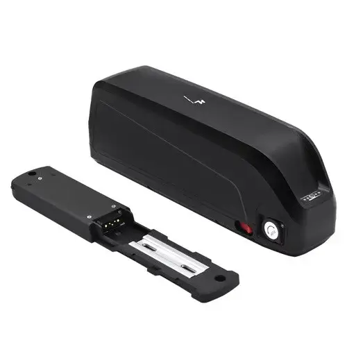Hailong Battery 48V 13AH